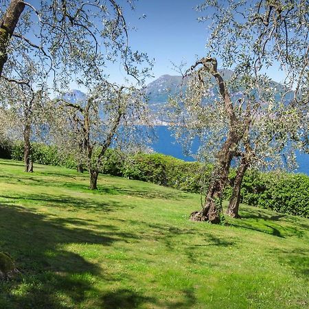 Villa Dismero-Un Oasi Di Lusso E Privacy Brenzone sul Garda Exterior photo